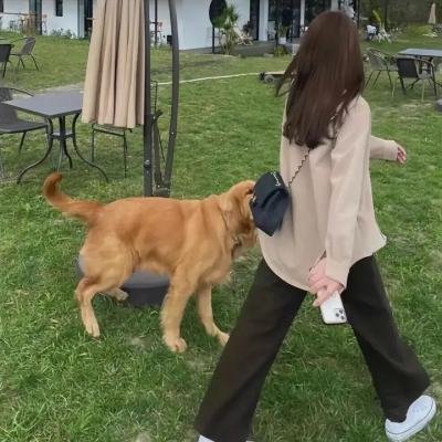 我回到黑暗
